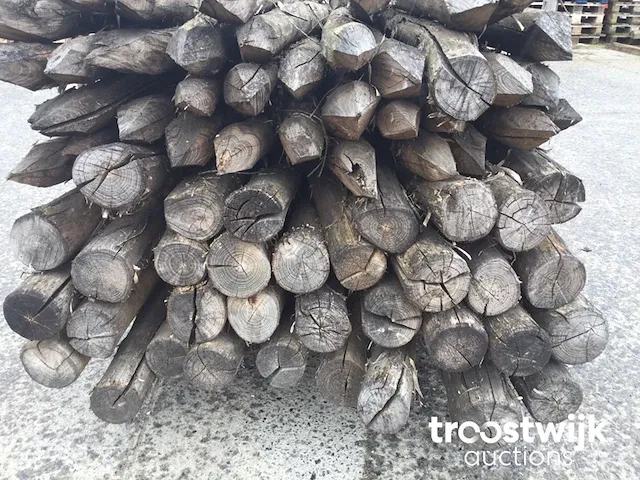 Acacia weidepalen - afbeelding 6 van  9