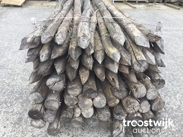 Acacia weidepalen - afbeelding 7 van  9