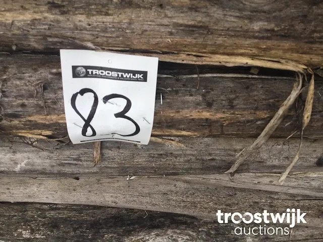 Acacia weidepalen - afbeelding 9 van  9