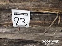 Acacia weidepalen - afbeelding 9 van  9