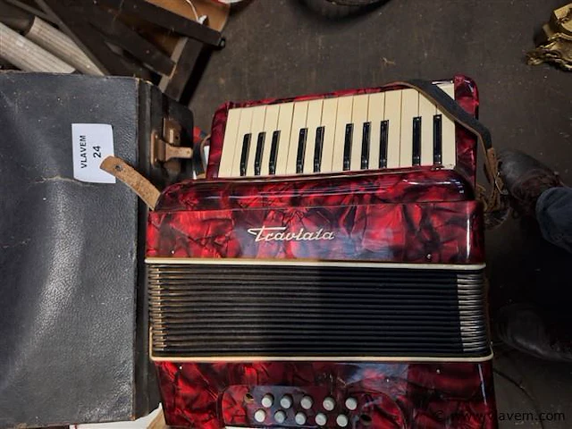 Accordion - afbeelding 2 van  2