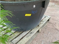 Acer dissectum - afbeelding 4 van  4