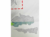 Adriaan de kruijff - blaadjes - tekening in gemengde techniek - afbeelding 3 van  12