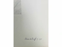 Adriaan de kruijff - blaadjes - tekening in gemengde techniek - afbeelding 4 van  12
