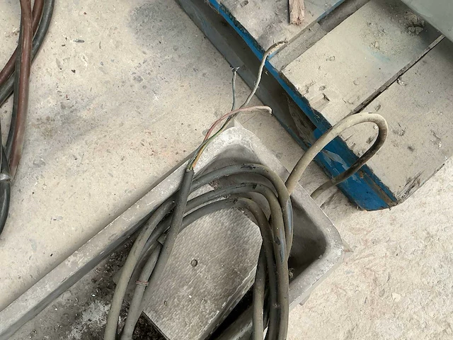 Aeg trilgoot - afbeelding 4 van  5