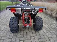 Aiii commander 200cc quad - afbeelding 40 van  40