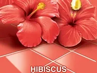 Ajax allesreiniger fete de fleur hibiscus 1 liter - afbeelding 3 van  3