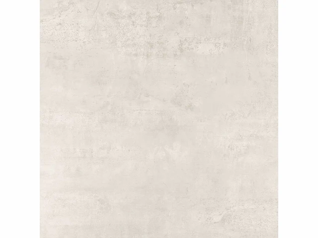 Alaska grey gepolijst 120x120 cm tegel 57 m² - afbeelding 8 van  9