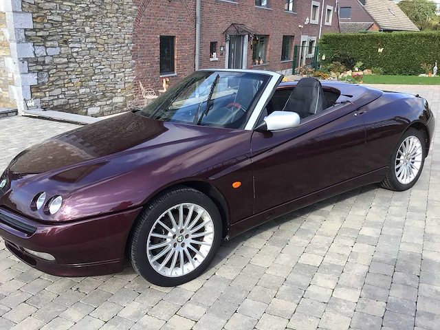 Alfa spider cabriolet oldtimers > 15 - afbeelding 5 van  31