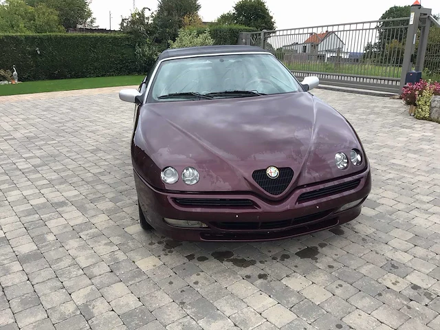 Alfa spider cabriolet oldtimers > 15 - afbeelding 23 van  31