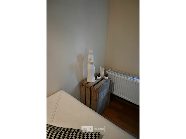 Alle decoratie in de living en alle matten - afbeelding 9 van  9