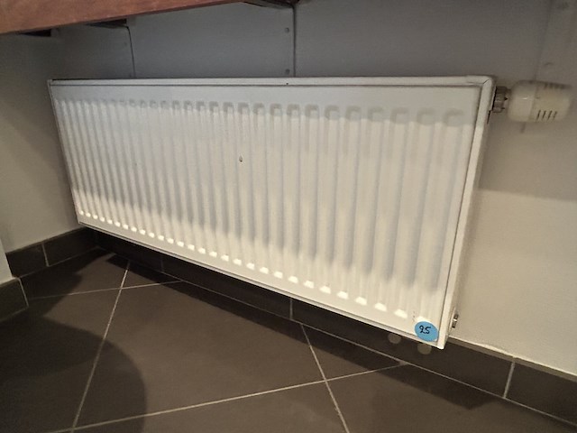 Alle radiatoren uit de badkamer (3) - afbeelding 1 van  4