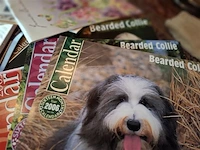 Almanac - afbeelding 4 van  4