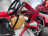 Alpha birel art racekart type ak35 - afbeelding 3 van  12