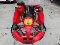 Alpha birel art racekart type ak35 - afbeelding 5 van  12