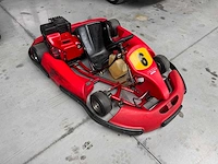 Alpha birel art racekart type ak35 - afbeelding 6 van  12