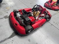 Alpha birel art racekart type ak35 - afbeelding 8 van  12