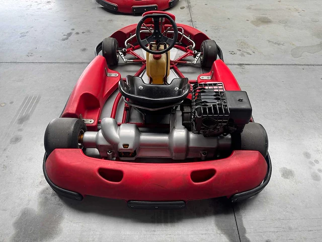 Alpha birel art racekart type ak35 - afbeelding 9 van  12