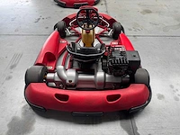 Alpha birel art racekart type ak35 - afbeelding 9 van  12
