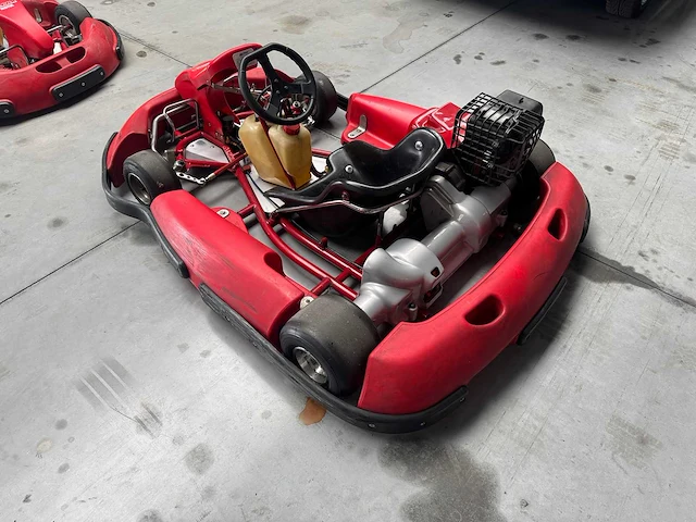 Alpha birel art racekart type ak35 - afbeelding 10 van  12