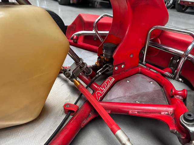 Alpha birel art racekart type ak35 - afbeelding 4 van  12