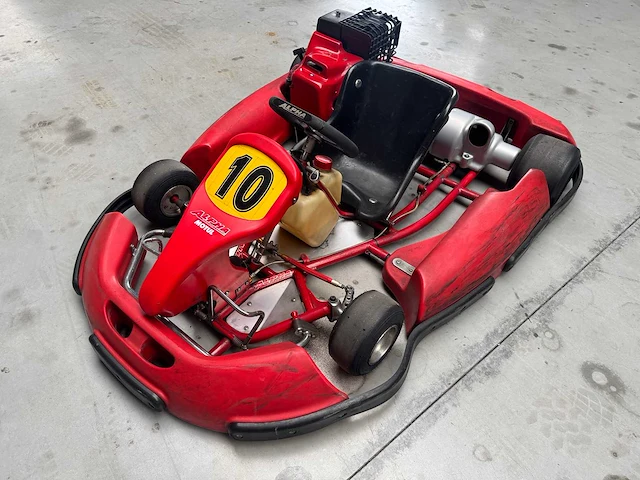 Alpha birel art racekart type ak35 - afbeelding 1 van  12