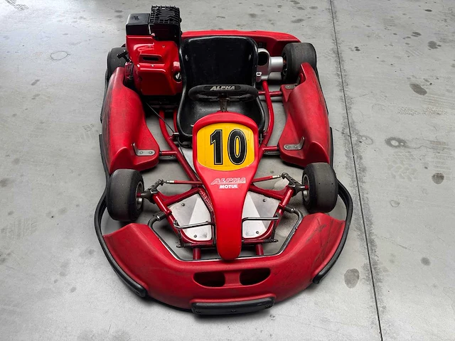 Alpha birel art racekart type ak35 - afbeelding 5 van  12