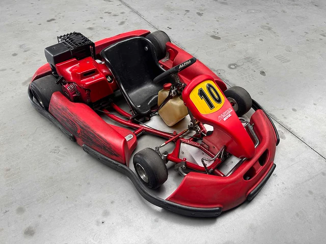 Alpha birel art racekart type ak35 - afbeelding 6 van  12