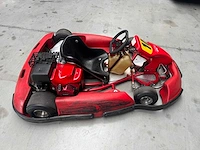 Alpha birel art racekart type ak35 - afbeelding 7 van  12