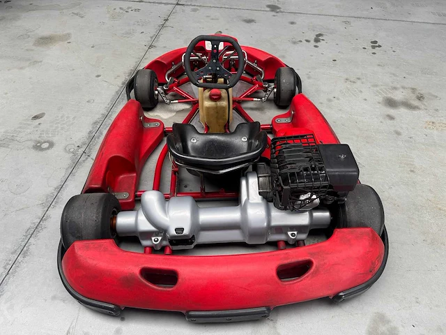 Alpha birel art racekart type ak35 - afbeelding 9 van  12