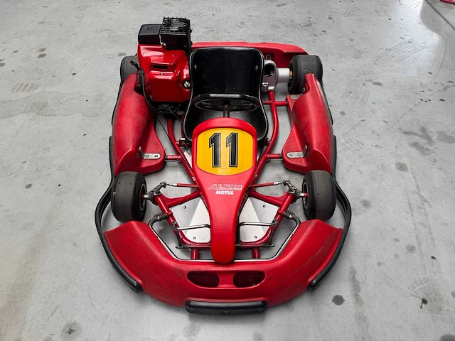 Alpha birel art racekart type ak35 - afbeelding 5 van  12