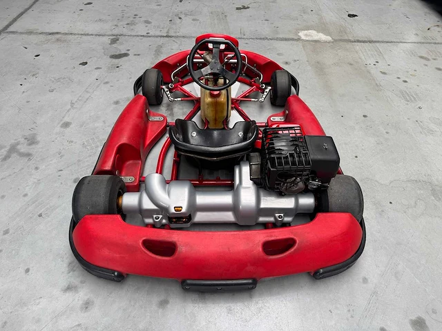 Alpha birel art racekart type ak35 - afbeelding 9 van  12