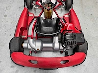 Alpha birel art racekart type ak35 - afbeelding 12 van  12