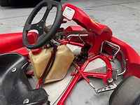Alpha birel art racekart type ak35 - afbeelding 4 van  12