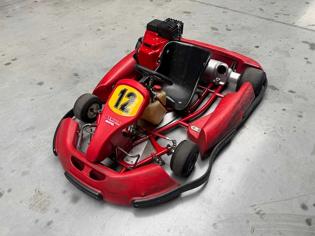 Alpha birel art racekart type ak35 - afbeelding 1 van  12