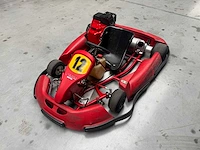 Alpha birel art racekart type ak35 - afbeelding 1 van  12