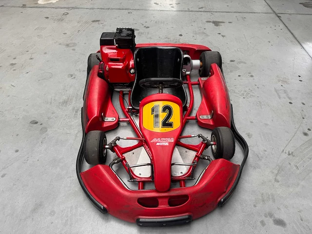 Alpha birel art racekart type ak35 - afbeelding 5 van  12