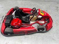 Alpha birel art racekart type ak35 - afbeelding 7 van  12