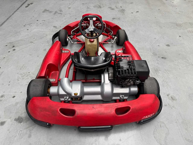 Alpha birel art racekart type ak35 - afbeelding 9 van  12