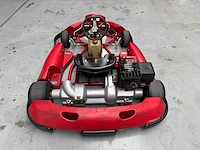 Alpha birel art racekart type ak35 - afbeelding 9 van  12