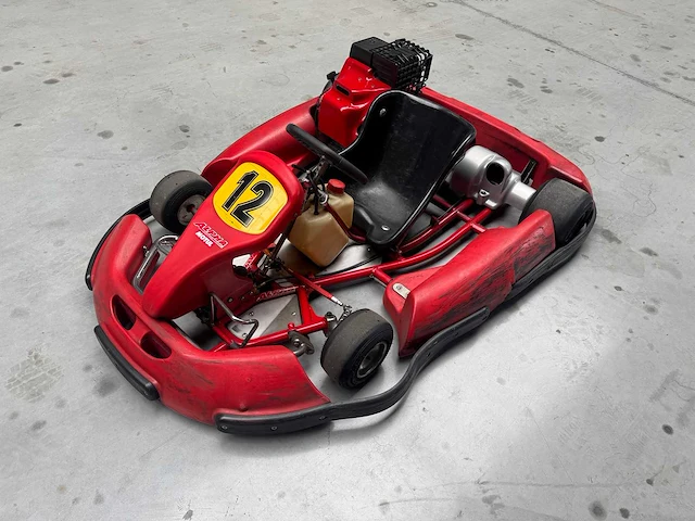 Alpha birel art racekart type ak35 - afbeelding 12 van  12