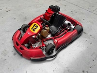Alpha birel art racekart type ak35 - afbeelding 12 van  12