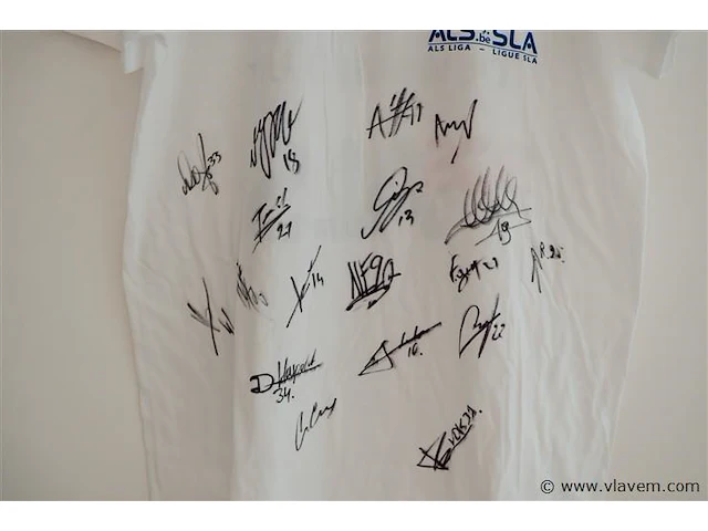 Als shirt. kvc westerlo - afbeelding 3 van  3