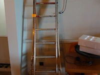 Alu ladder