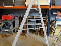 Alu trapladder petry - afbeelding 1 van  2