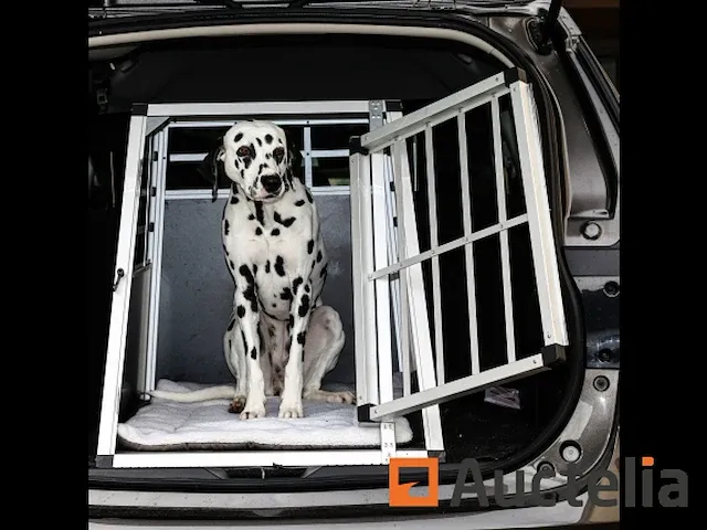 Aluminium hundetransportbox l rückwand 75° - afbeelding 6 van  6