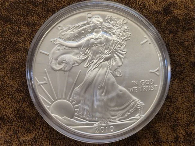 Amerika one dollar 2010 - afbeelding 3 van  3