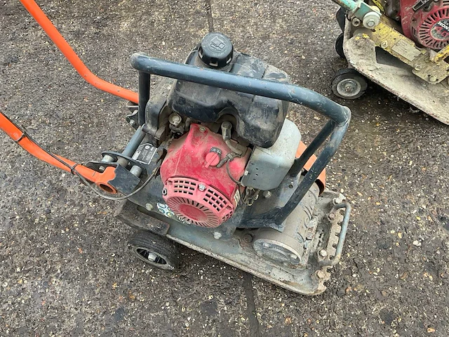 Ammann / belle wp1240 trilplaat (2x) - afbeelding 2 van  8