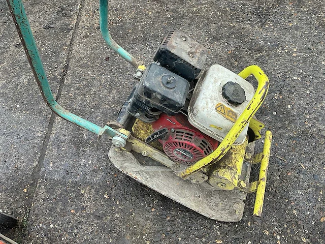 Ammann / belle wp1240 trilplaat (2x) - afbeelding 3 van  8