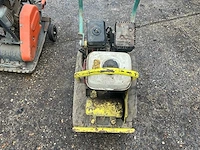 Ammann / belle wp1240 trilplaat (2x) - afbeelding 5 van  8